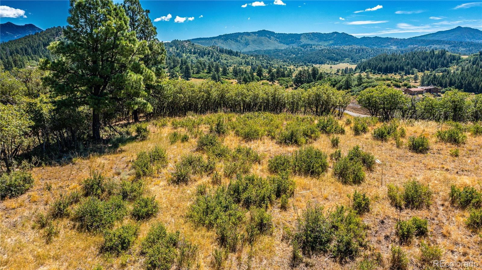 646 Henry's Lake Drive Chromo CO 81128