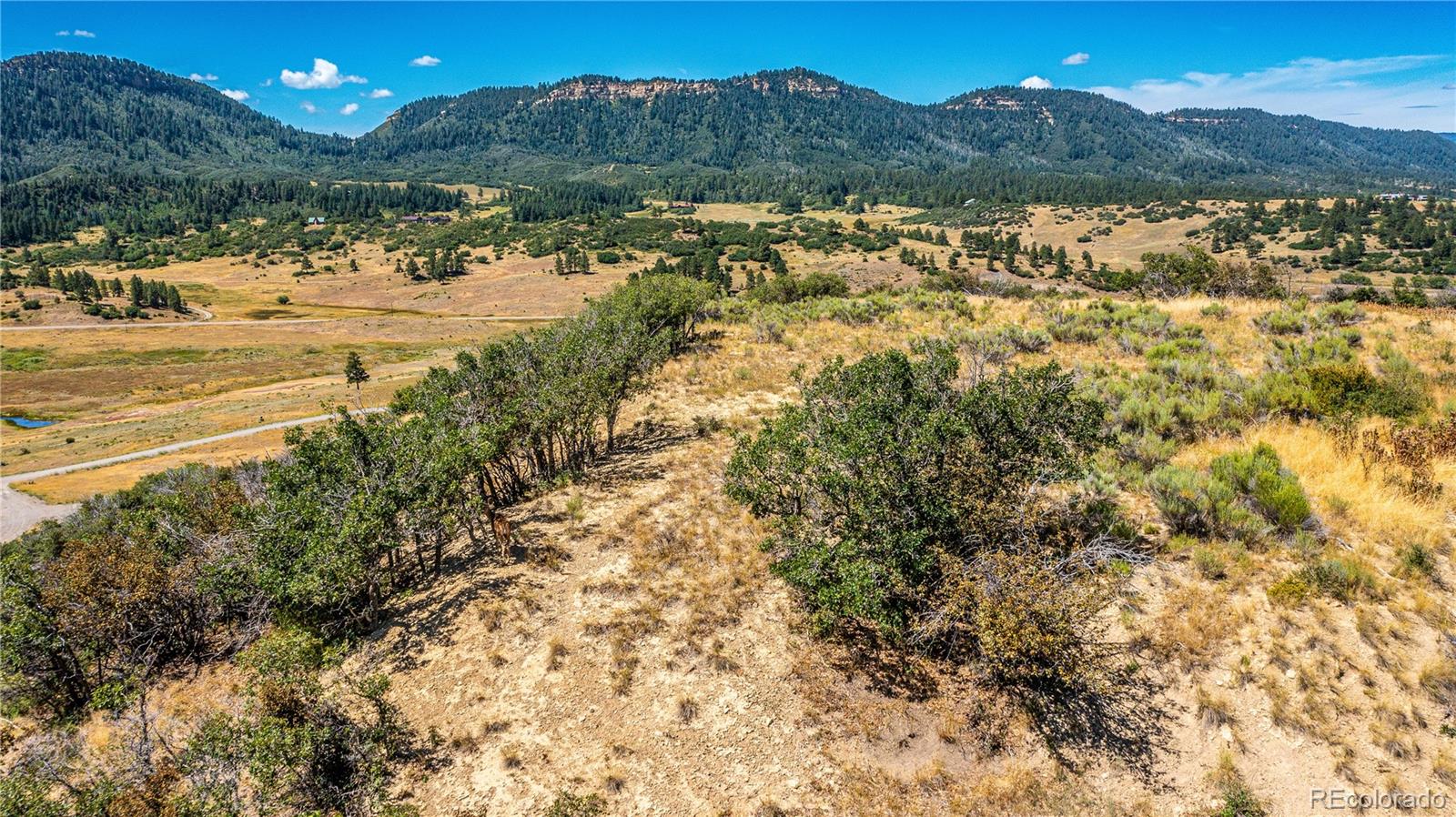 646 Henry's Lake Drive Chromo CO 81128