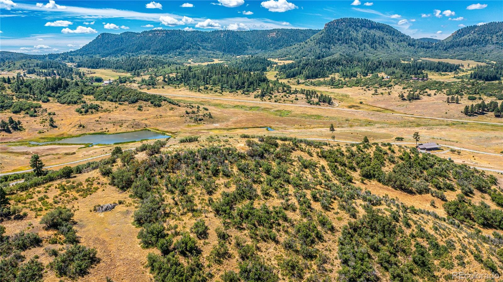 646 Henry's Lake Drive Chromo CO 81128