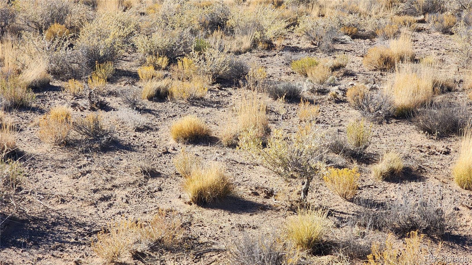 Lots 8, 9, 10 Huron Avenue Blanca CO 81123