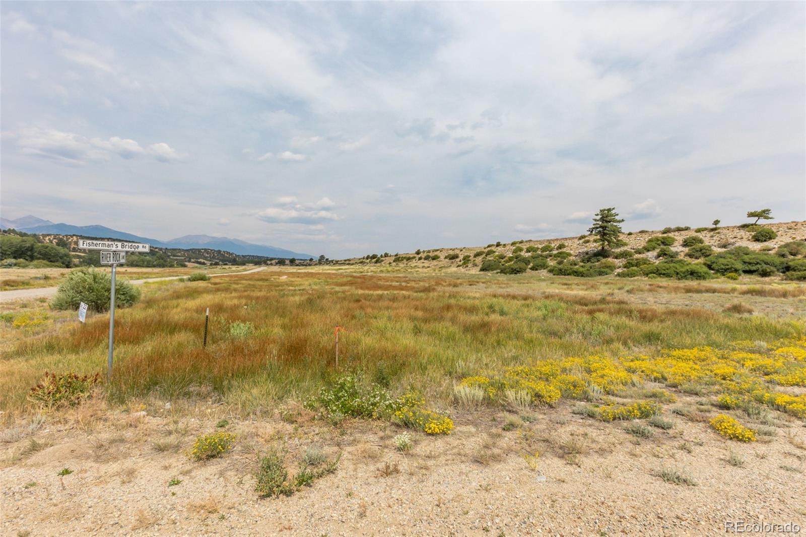 24256 River Rock Lane Buena Vista CO 81211