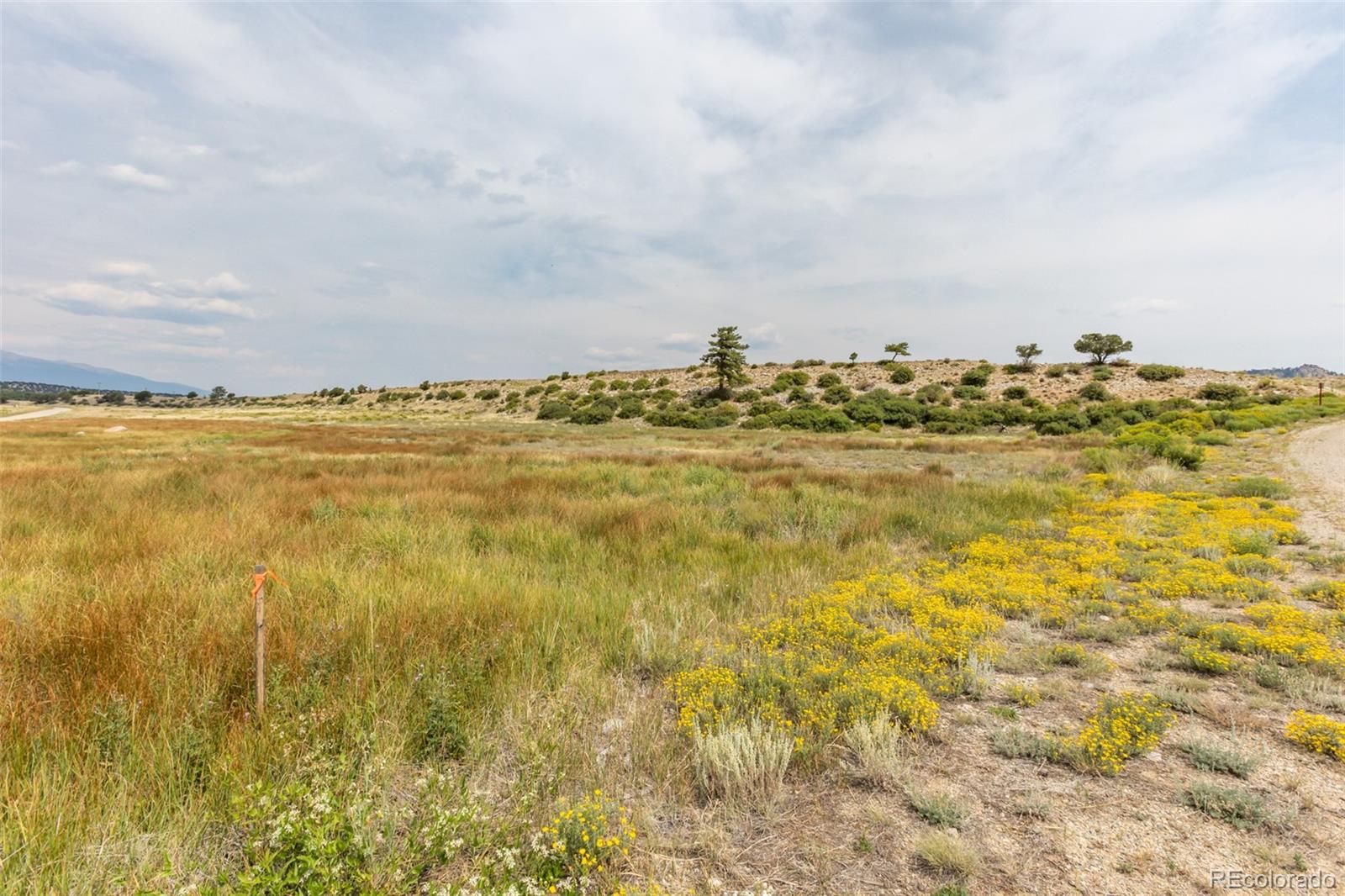 24256 River Rock Lane Buena Vista CO 81211