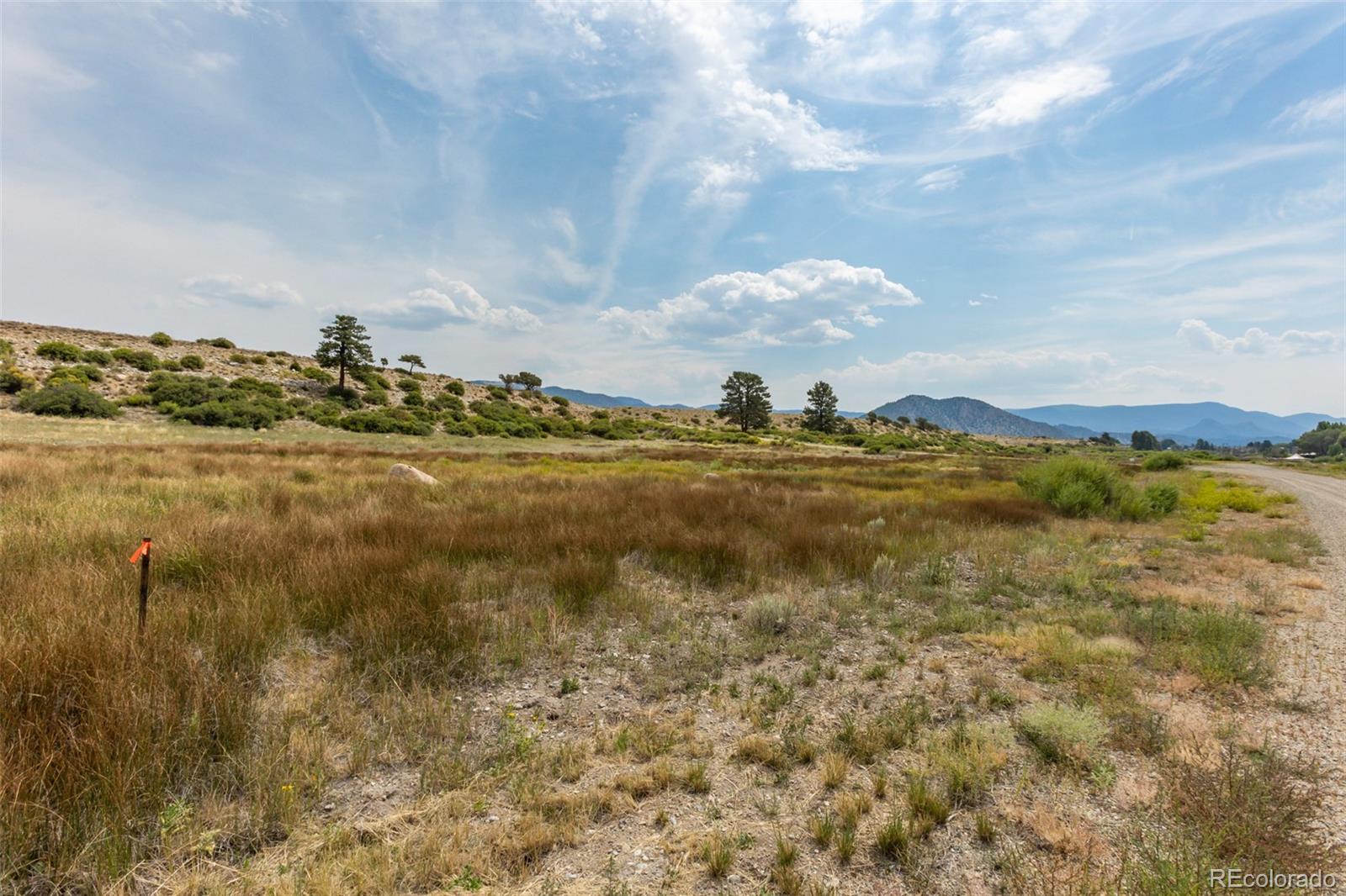 24256 River Rock Lane Buena Vista CO 81211