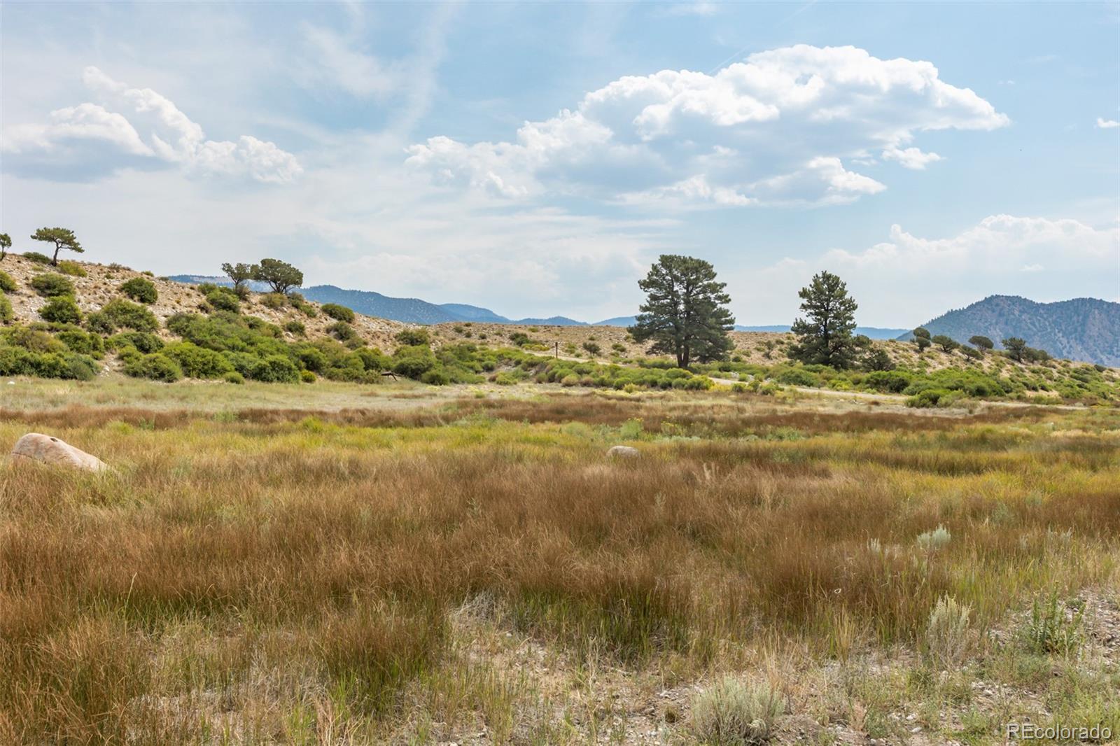 24256 River Rock Lane Buena Vista CO 81211