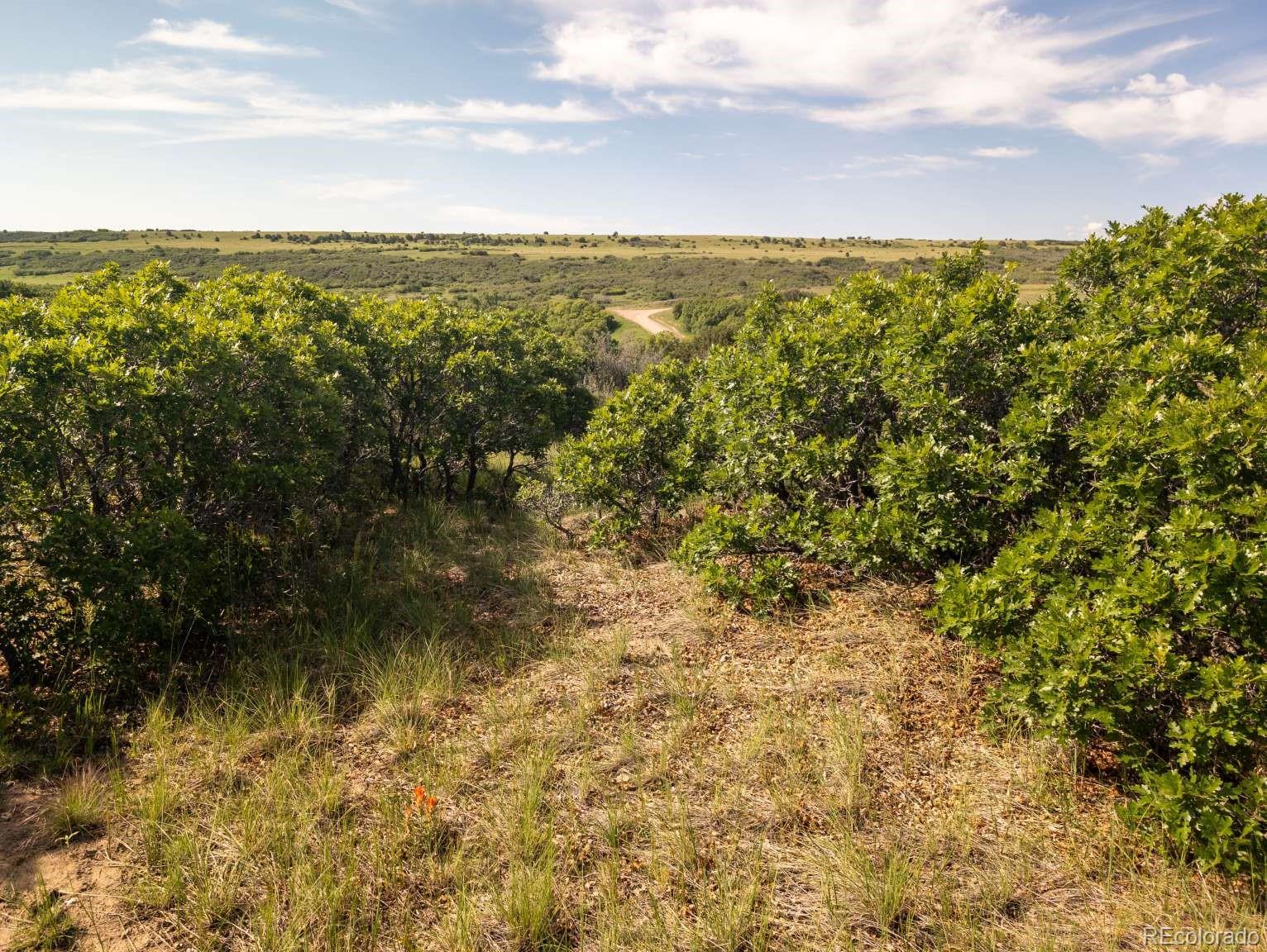 0 Pastuer Boulevard Colorado City CO 81019