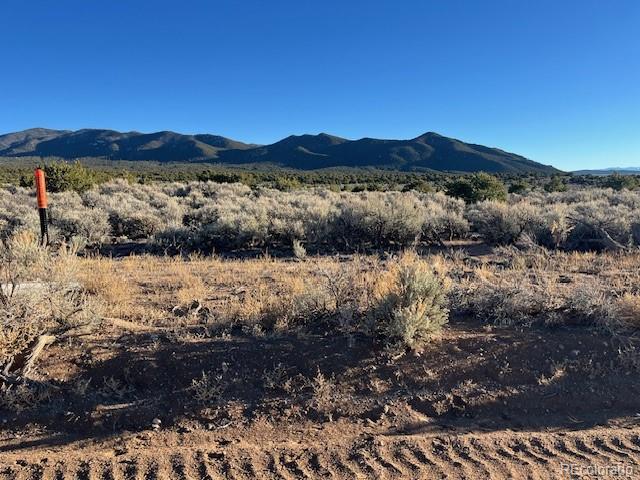 Lot 1018 Leonard Road Fort Garland CO 81133
