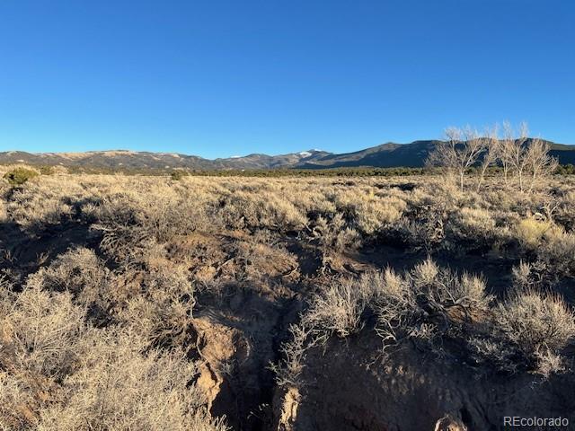 Lot 1018 Leonard Road Fort Garland CO 81133