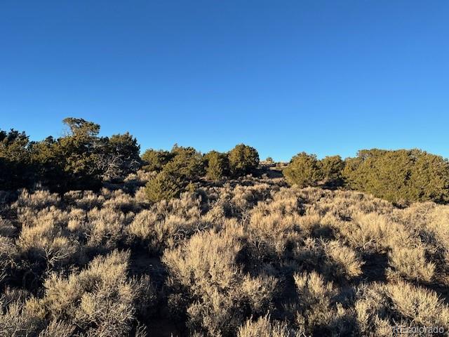 Lot 1018 Leonard Road Fort Garland CO 81133