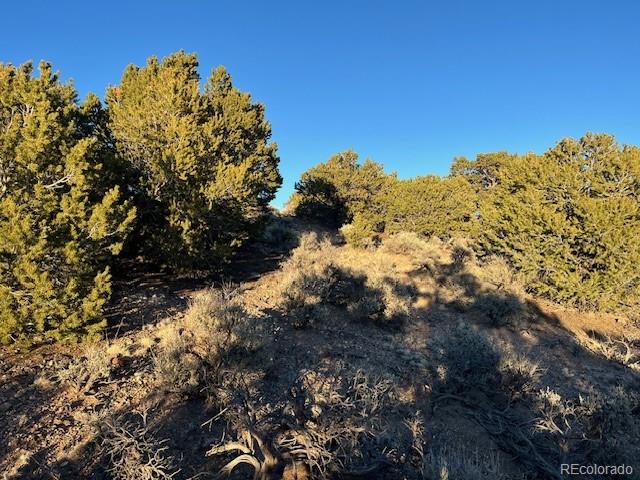 Lot 1018 Leonard Road Fort Garland CO 81133