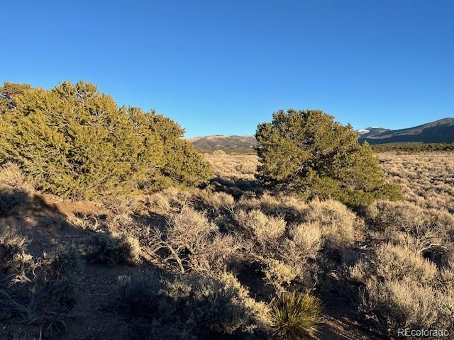 Lot 1018 Leonard Road Fort Garland CO 81133