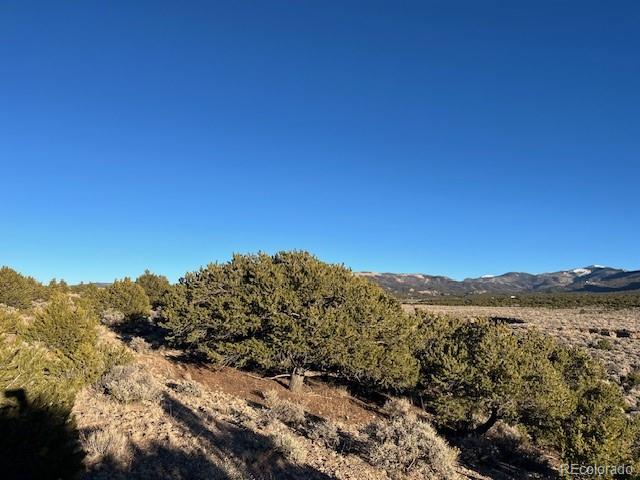 Lot 1018 Leonard Road Fort Garland CO 81133