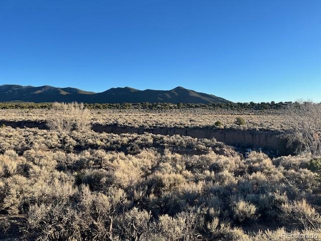 Lot 1018 Leonard Road Fort Garland CO 81133