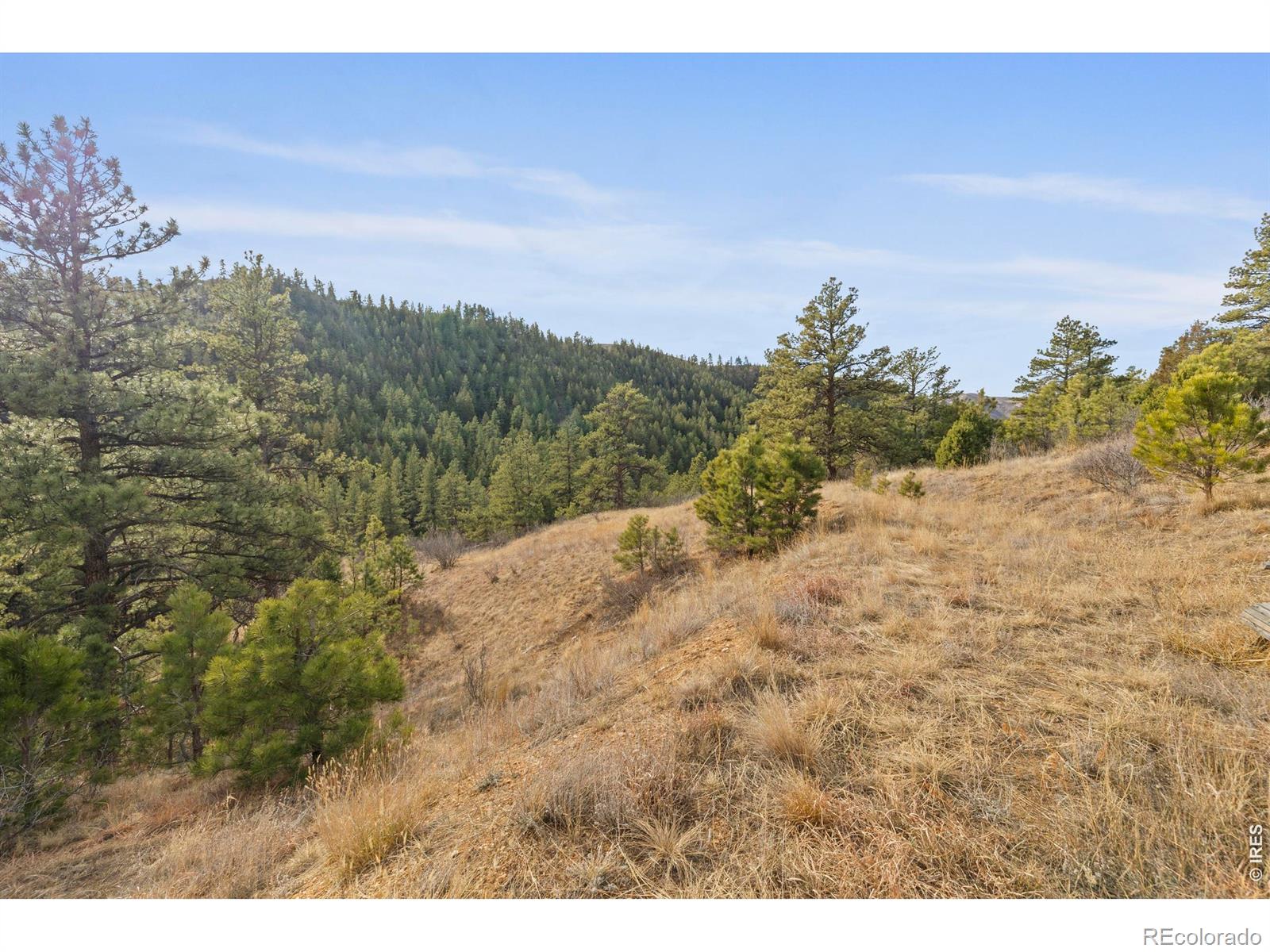 5771 Obenchain Road Laporte CO 80535