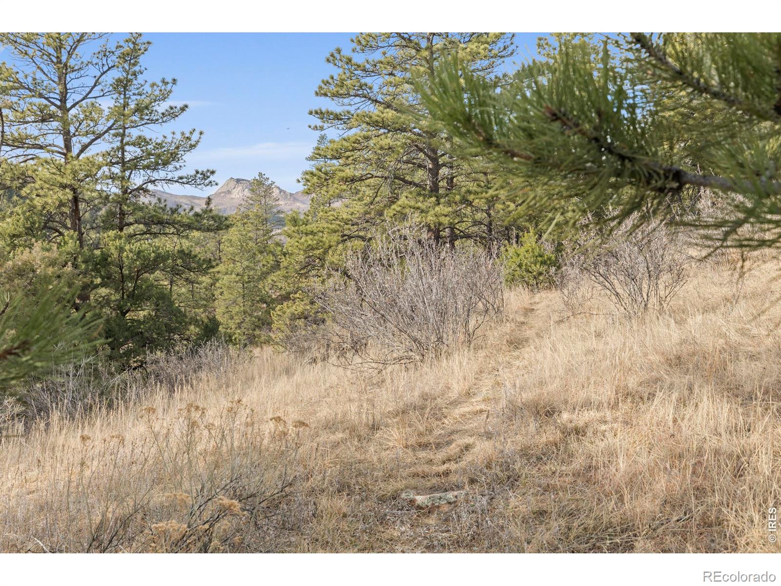 5771 Obenchain Road Laporte CO 80535