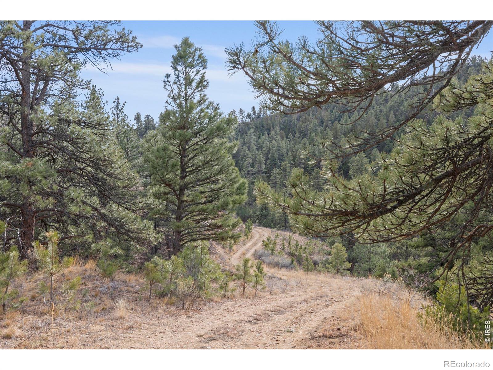 5771 Obenchain Road Laporte CO 80535