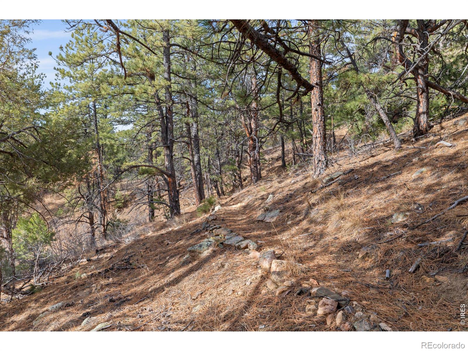5771 Obenchain Road Laporte CO 80535