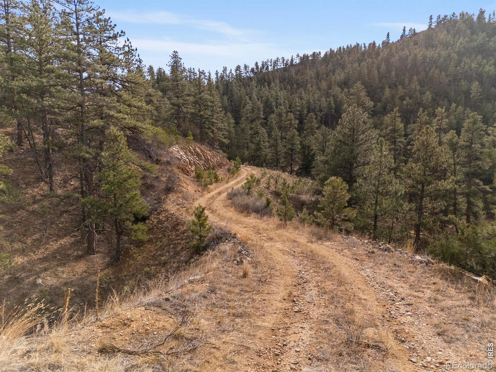 5771 Obenchain Road Laporte CO 80535