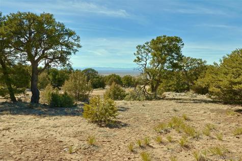 3609 Splendid Terrace Crestone CO 81131