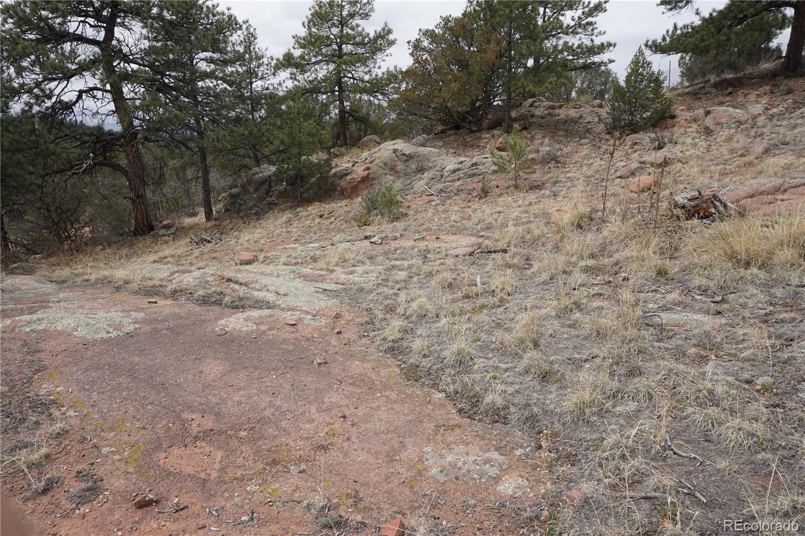 1893 Arapahoe Drive Cripple Creek CO 80813