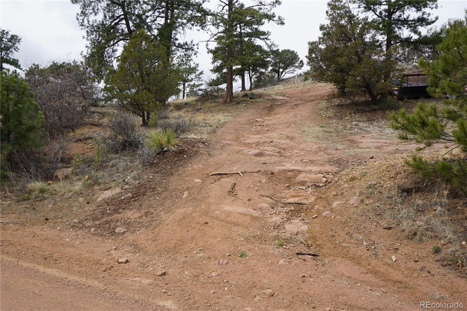 1893 Arapahoe Drive Cripple Creek CO 80813
