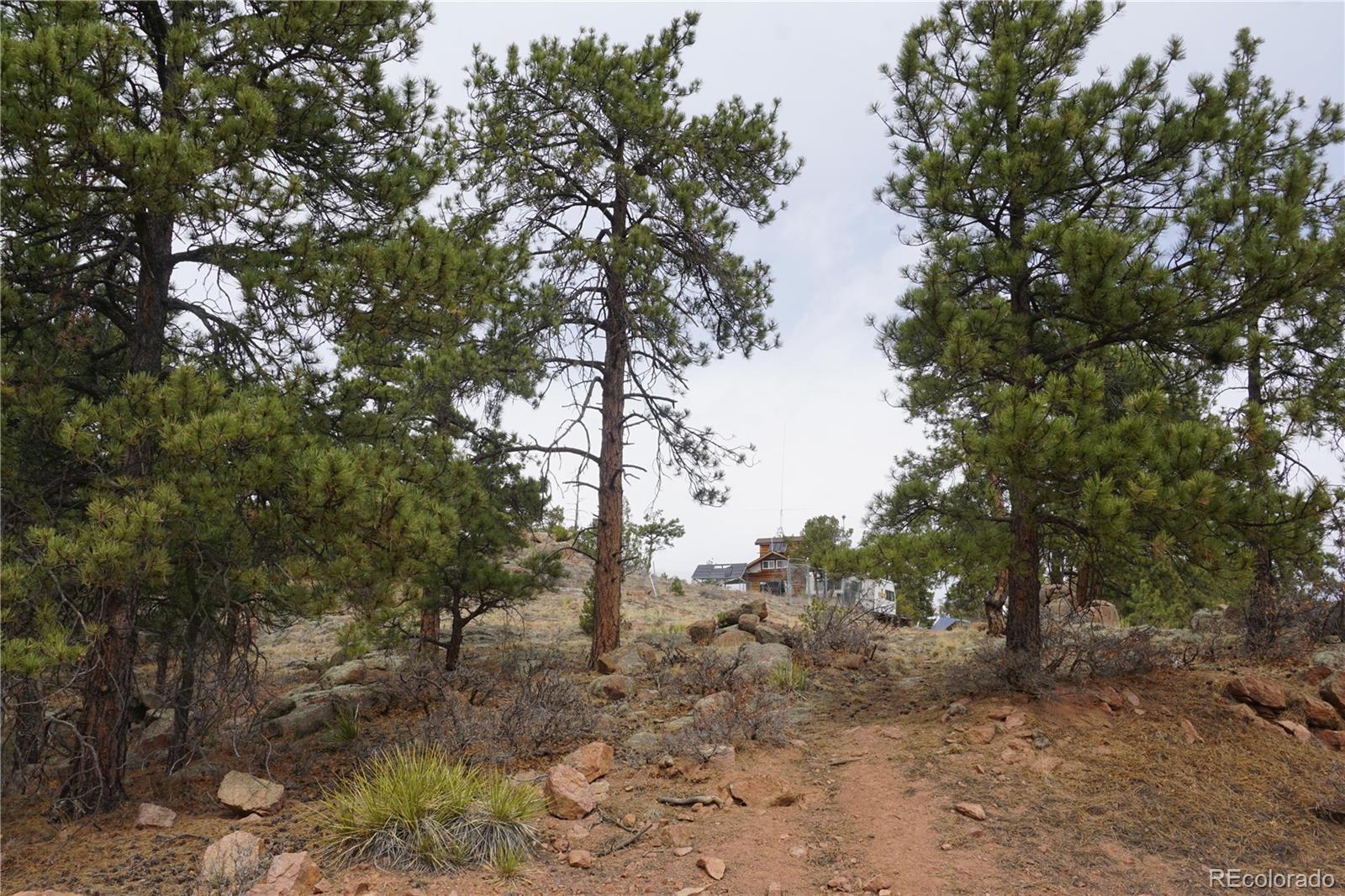 1893 Arapahoe Drive Cripple Creek CO 80813