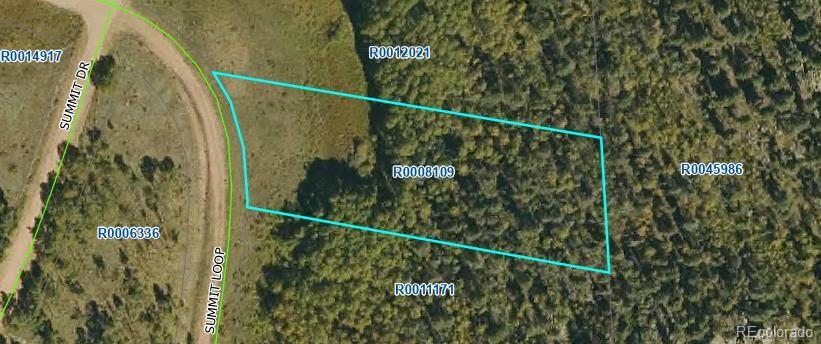 266 Summit Loop Florissant CO 80816