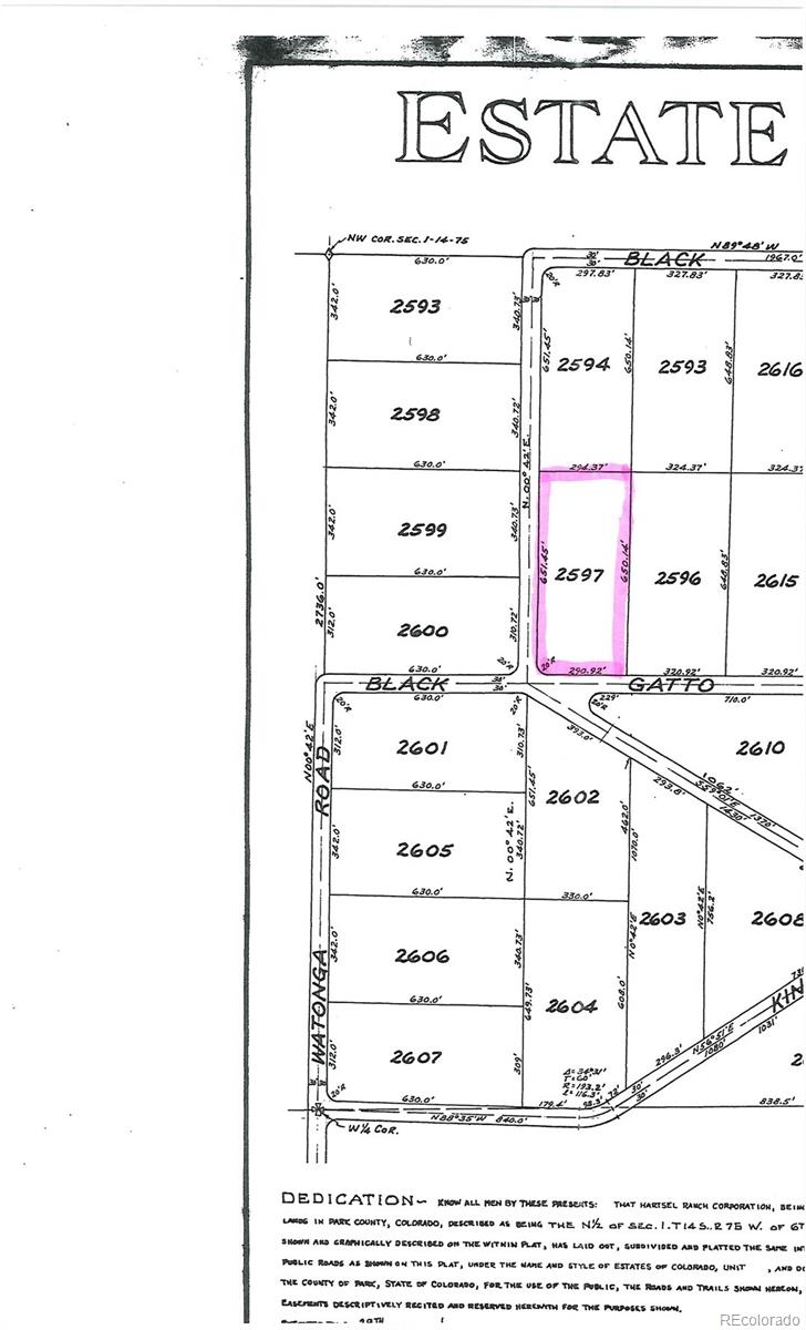 217 Black Gatto Trail Hartsel CO 80449