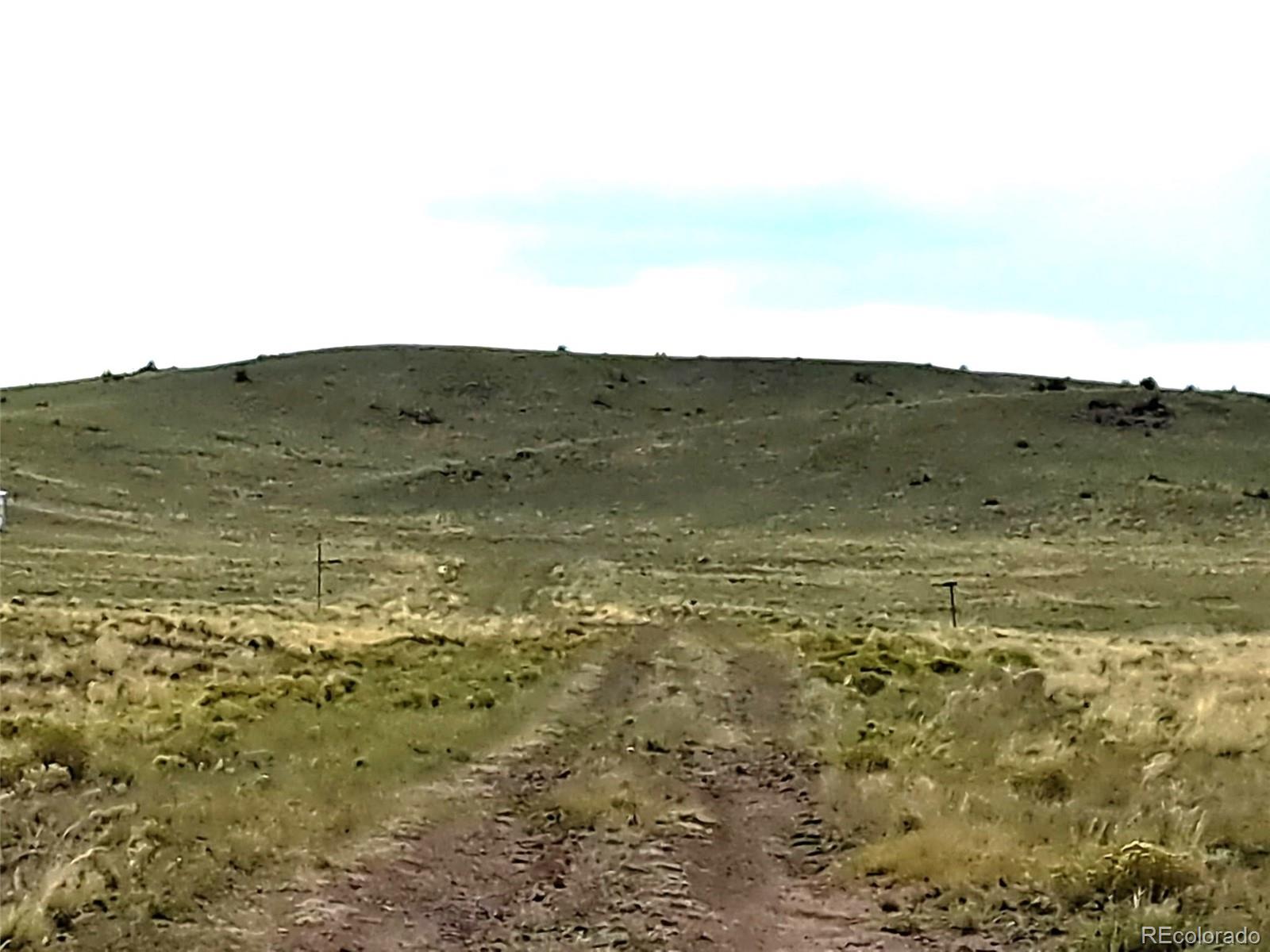 217 Black Gatto Trail Hartsel CO 80449