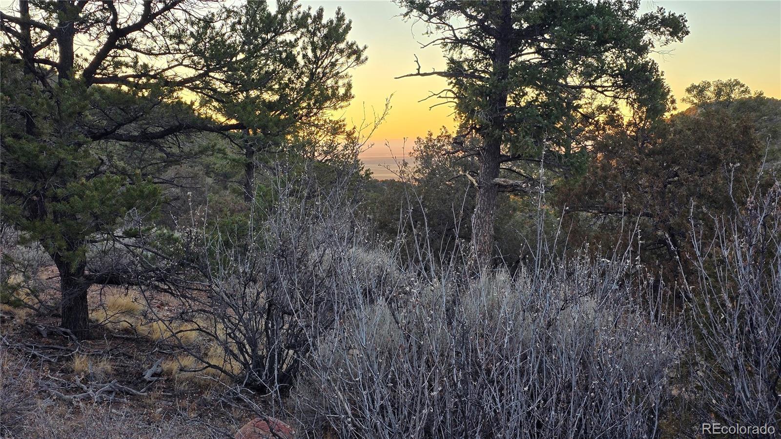 Lot 5106 Redler Road Fort Garland CO 81133