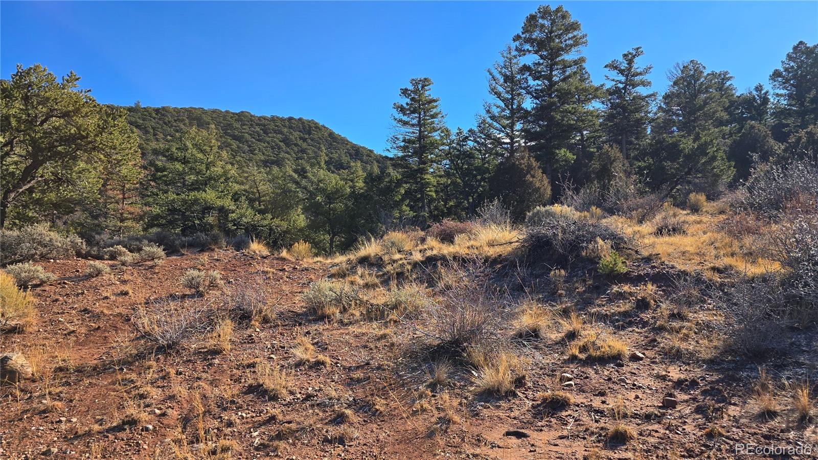 Lot 5106 Redler Road Fort Garland CO 81133
