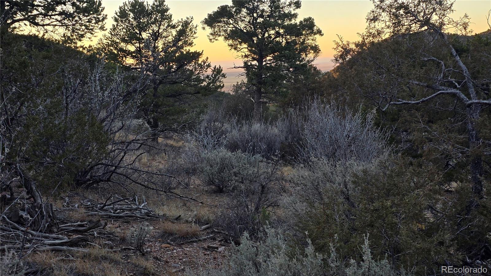 Lot 5106 Redler Road Fort Garland CO 81133