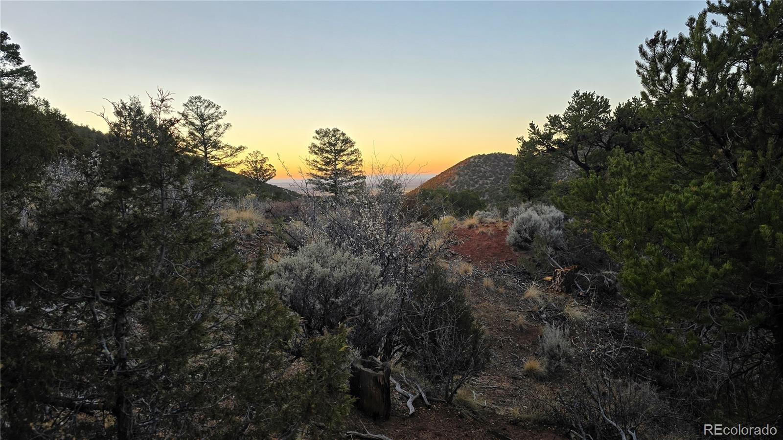 Lot 5106 Redler Road Fort Garland CO 81133