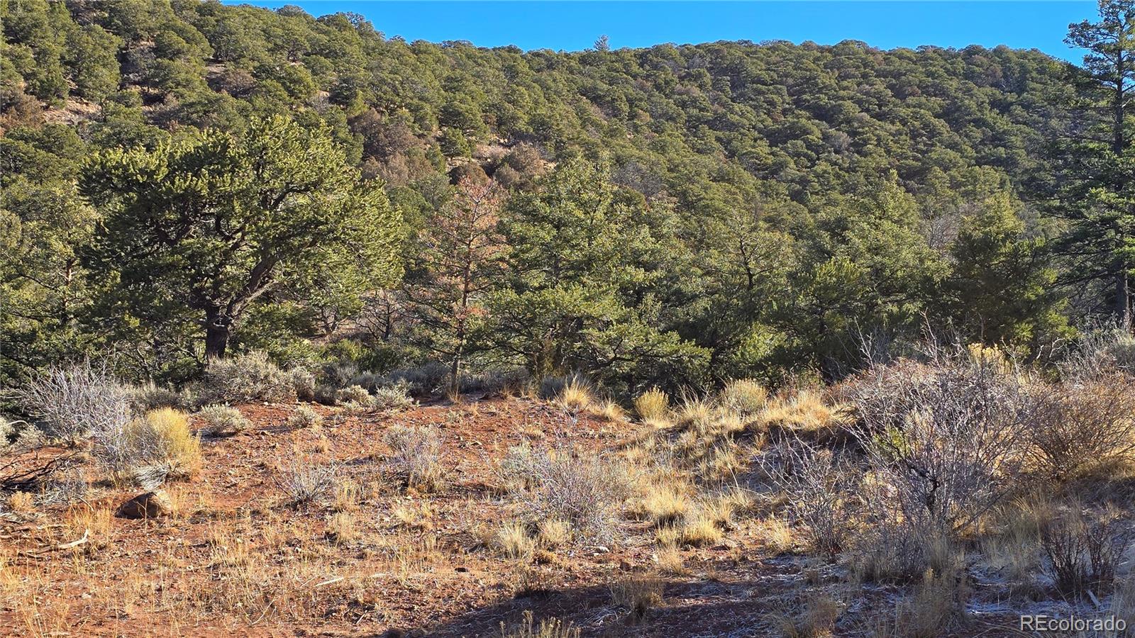 Lot 5106 Redler Road Fort Garland CO 81133