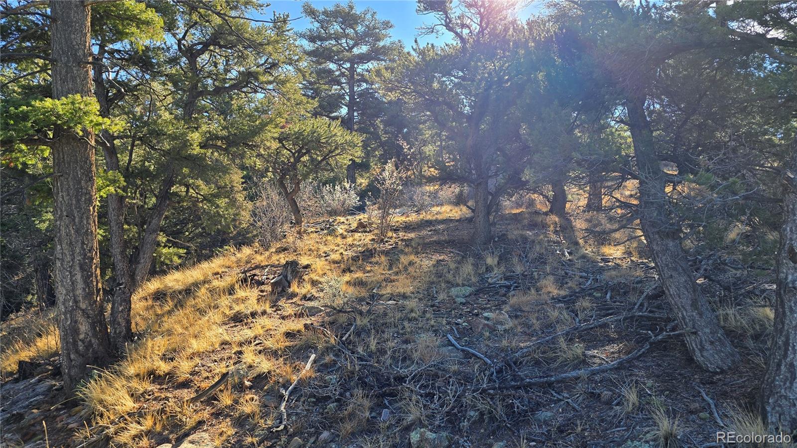 Lot 5106 Redler Road Fort Garland CO 81133
