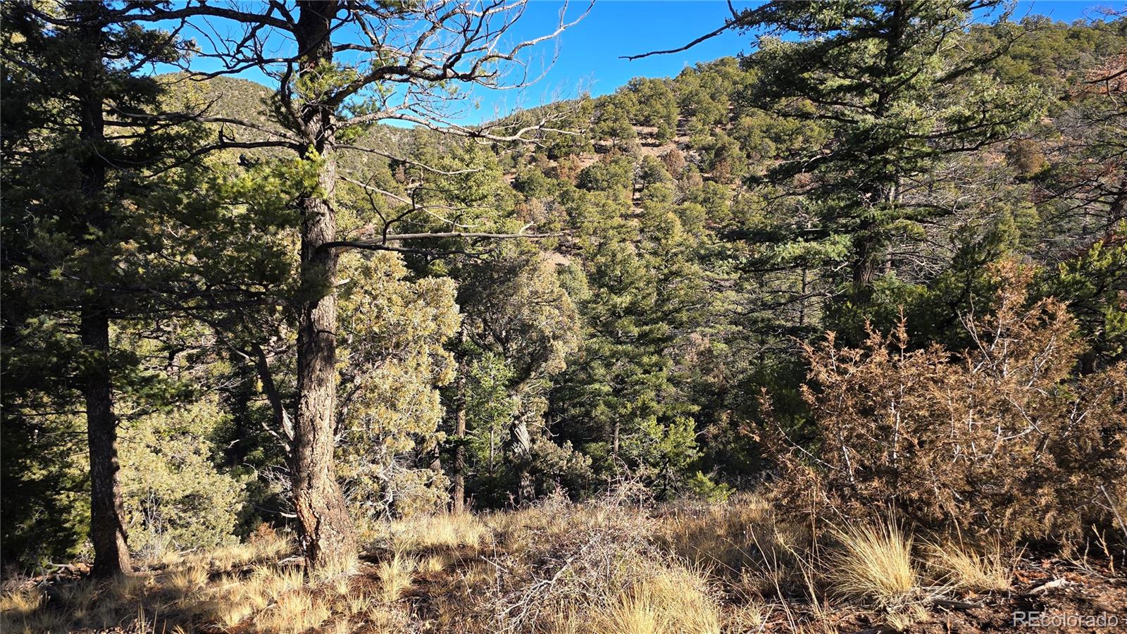 Lot 5106 Redler Road Fort Garland CO 81133