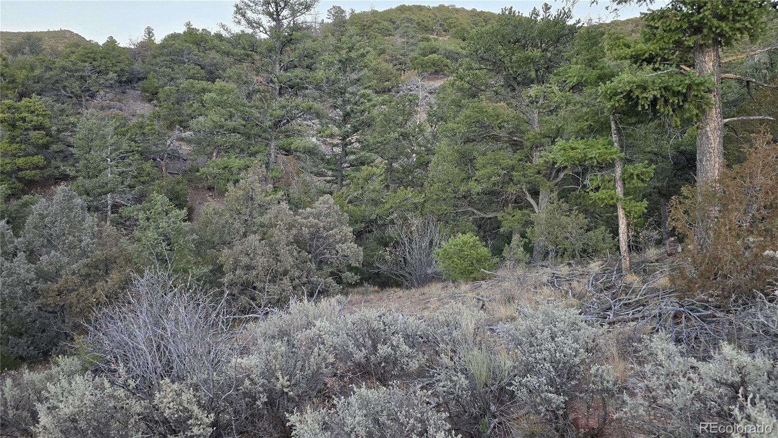 Lot 5106 Redler Road Fort Garland CO 81133