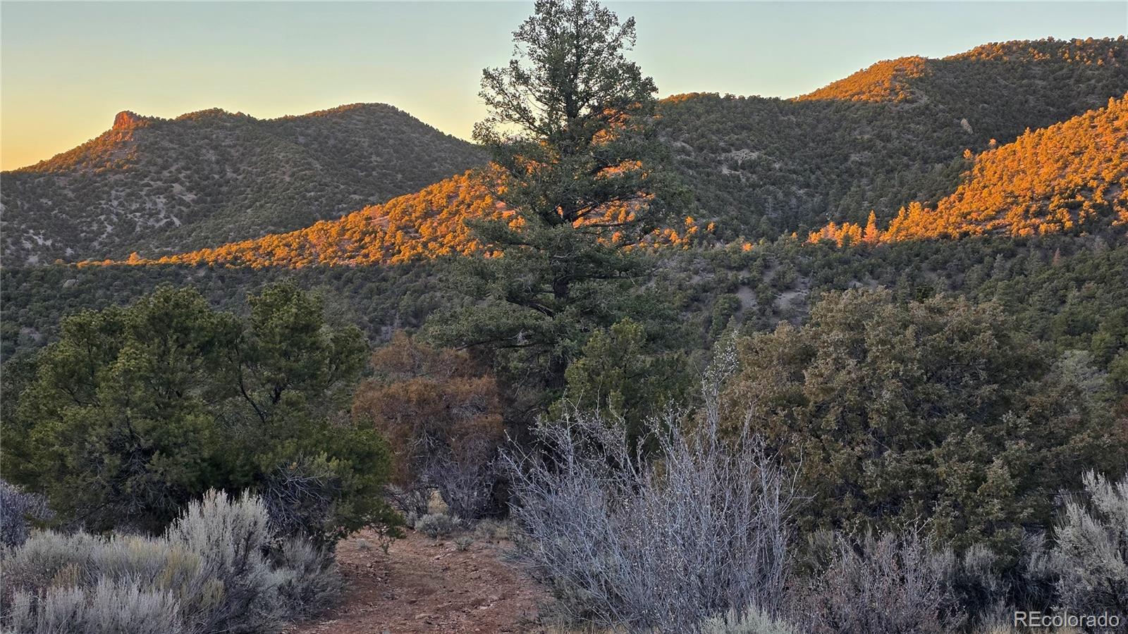 Lot 5106 Redler Road Fort Garland CO 81133