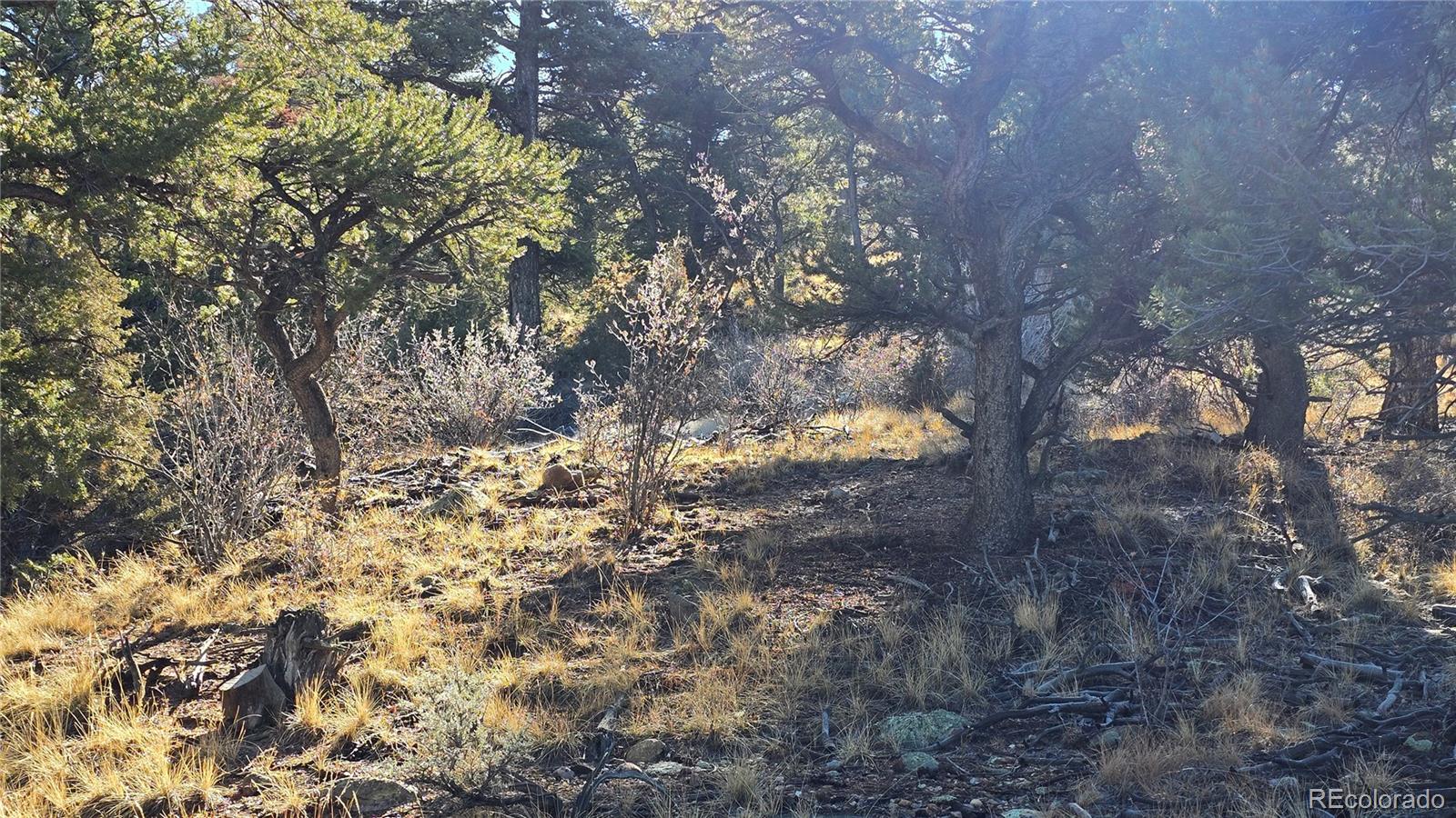 Lot 5106 Redler Road Fort Garland CO 81133