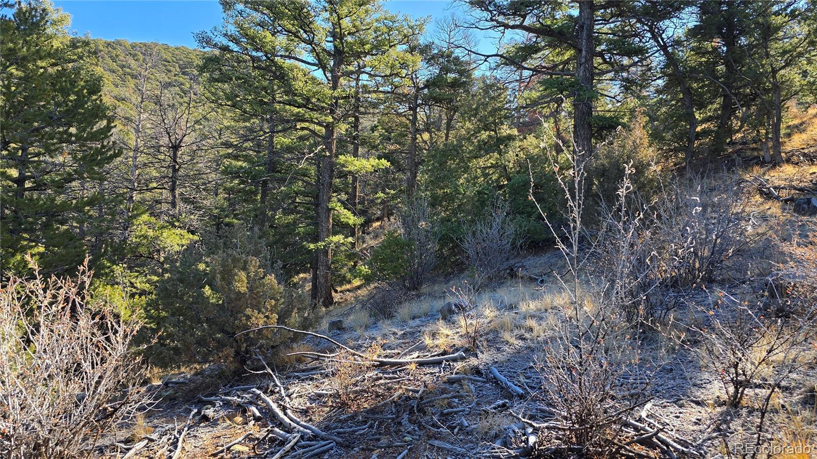Lot 5106 Redler Road Fort Garland CO 81133