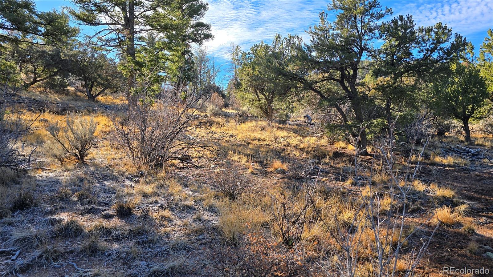 Lot 5106 Redler Road Fort Garland CO 81133