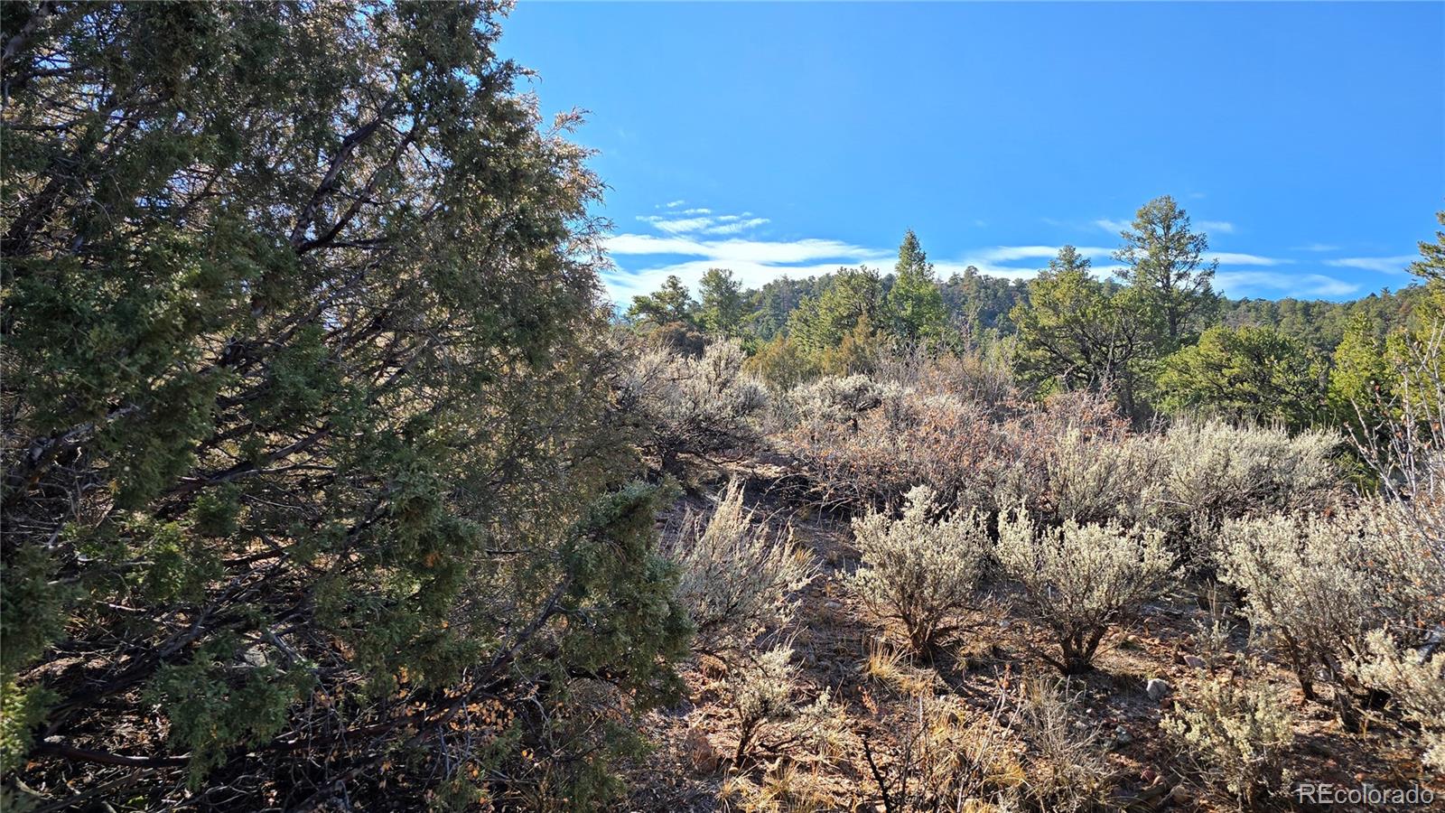 Lot 5106 Redler Road Fort Garland CO 81133