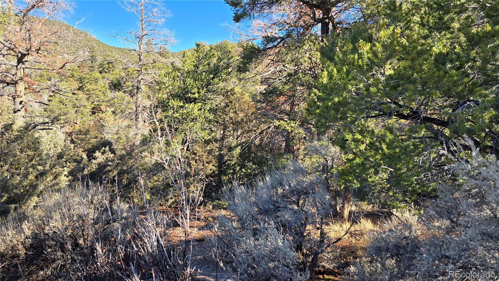 Lot 5106 Redler Road Fort Garland CO 81133