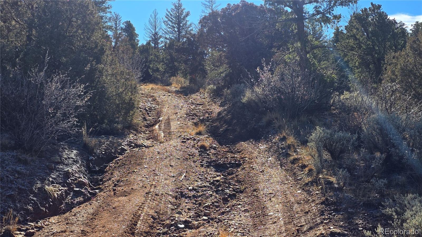 Lot 5106 Redler Road Fort Garland CO 81133