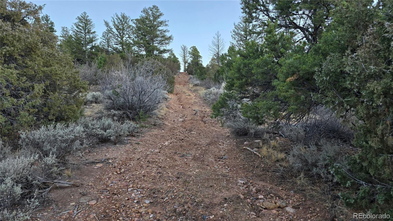 Lot 5106 Redler Road Fort Garland CO 81133