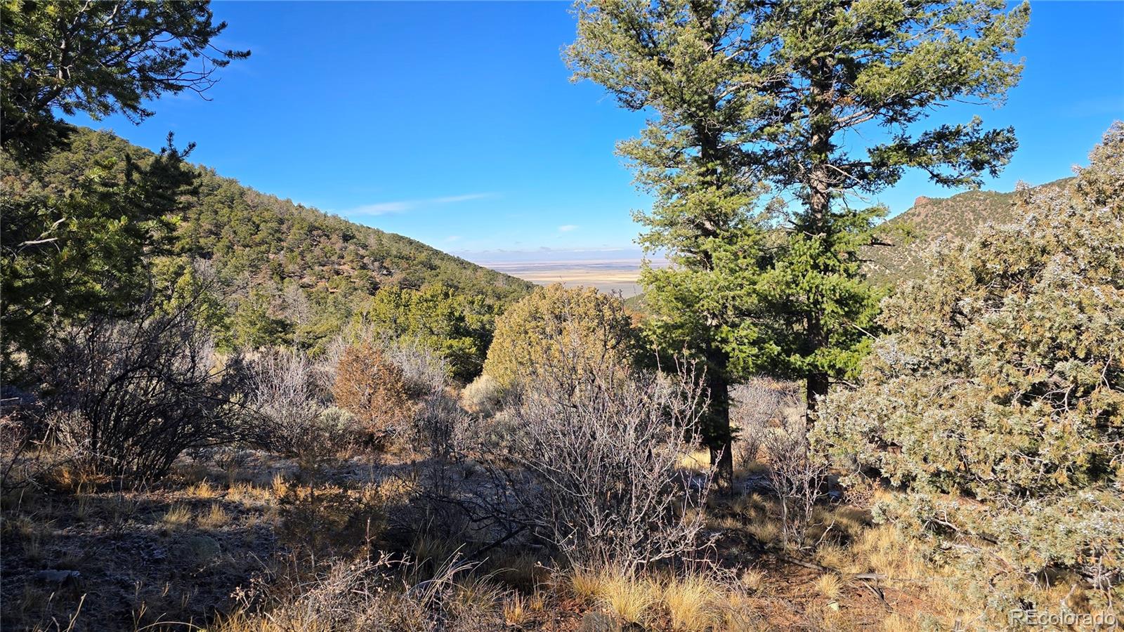 Lot 5106 Redler Road Fort Garland CO 81133