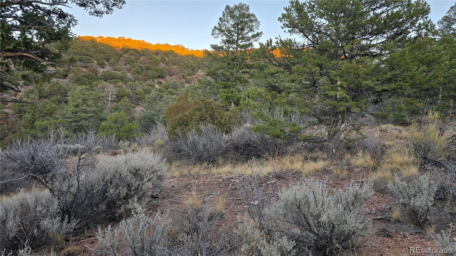 Lot 5106 Redler Road Fort Garland CO 81133