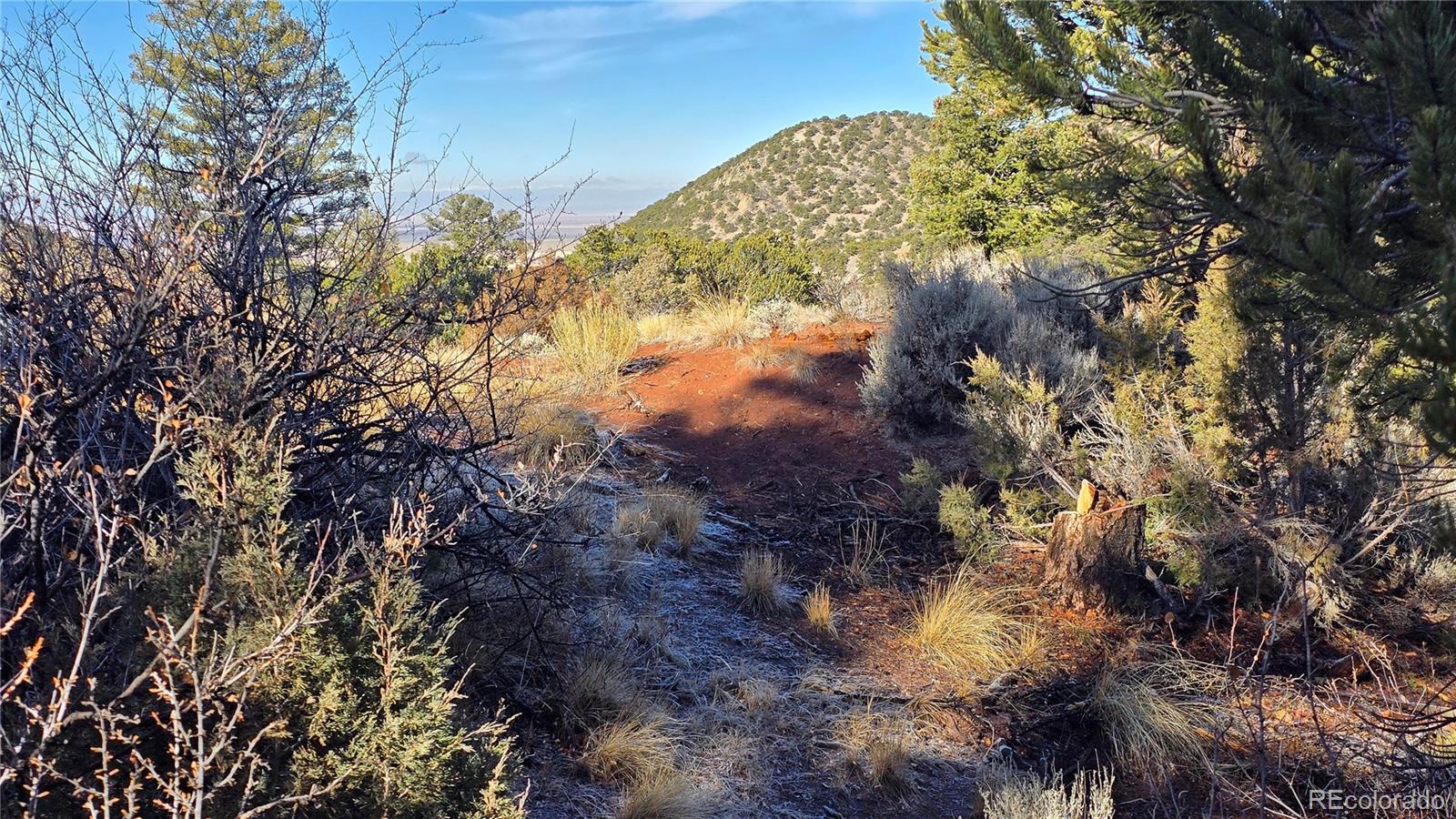 Lot 5106 Redler Road Fort Garland CO 81133