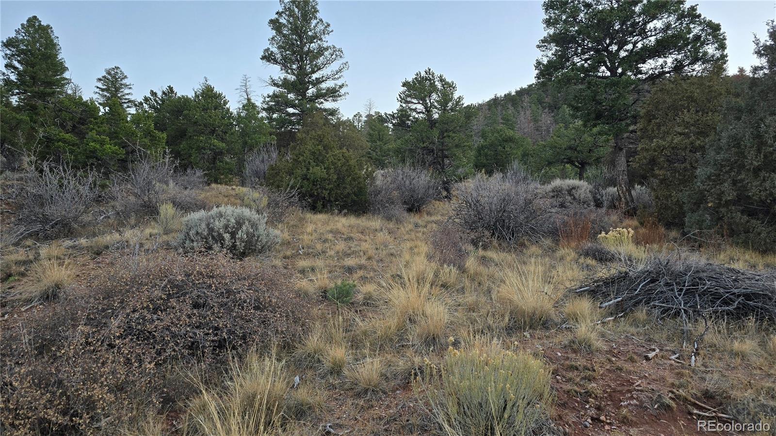 Lot 5106 Redler Road Fort Garland CO 81133