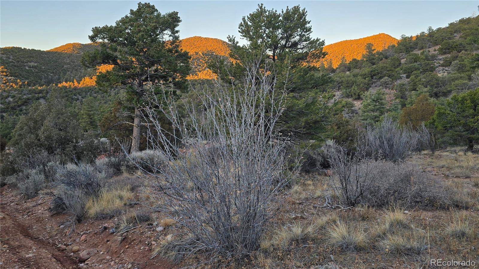 Lot 5106 Redler Road Fort Garland CO 81133