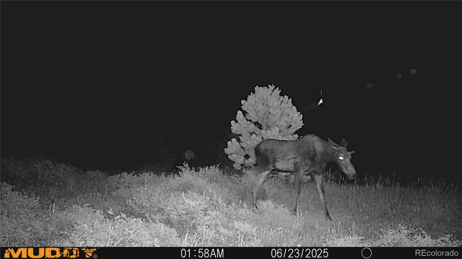 591599 Soul Shine Road Drake CO 80515
